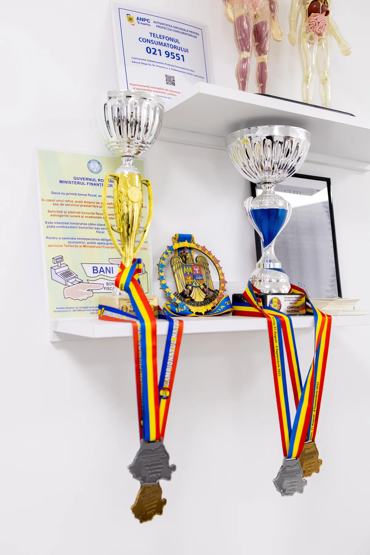 Trofee și medalii de campion național la culturism și fitness, expuse în cabinet
